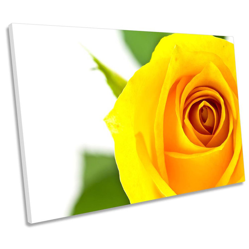 Rose Petal Flower Floral - Wrapped Canvas Print, 61cm H x 91.4cm W x 4cm D