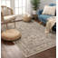 Oriental Area Rug-1879639434