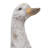 Dormont Animals Figurines & Sculptures