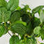 Anjeli 40cm Faux Foliage Plant in Pot