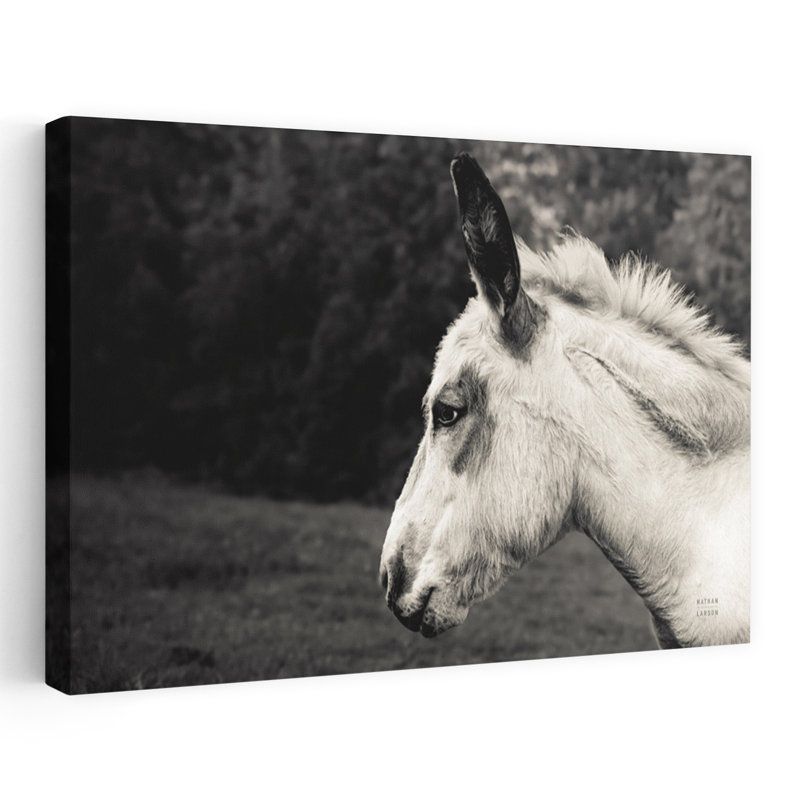 Print, 30.48cm H x 45.72cm W