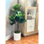 Organic Modern 4' Faux Fiddle Leaf Tree