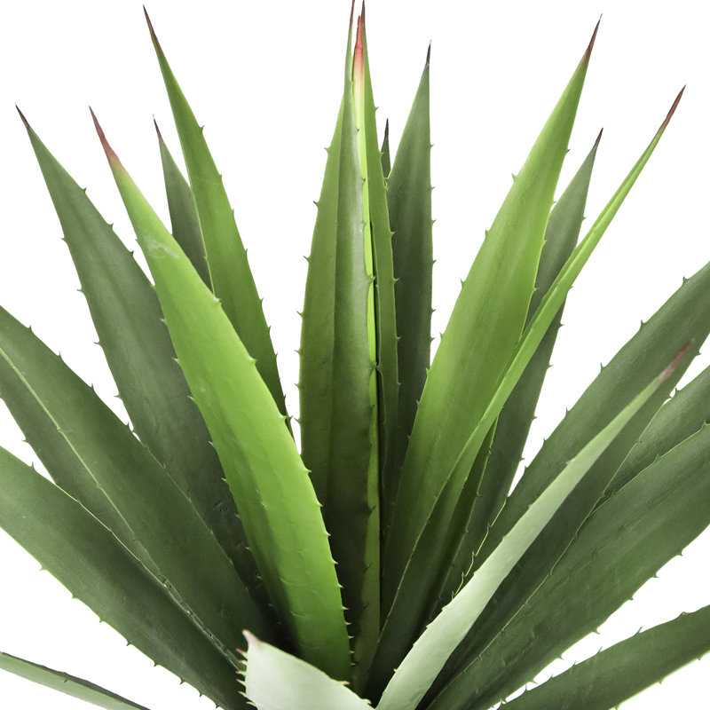 Coffman 31 " H Faux Agave Plant in Plastic Pot