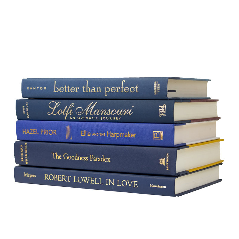 Modern Denim & Gold Book Stack, S/5