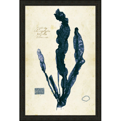 Indigo Sea Grass II Print
