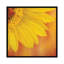 « tournesol ii », reproduction d’impression sur toile-29483533-73558859-73558863