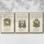 Ex-libris imprimé I - ensemble de 3 reproductions encadrées sur toile-97710258-97710259