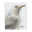 «Coastal Seagull», toile par Matthew Piotrowicz-255381081