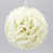 Ivory is out of stock