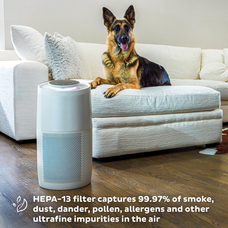 Instant Air Purifier with True HEPA, Pearl