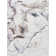 Stacie Daydream Machine Washable Area Rug
