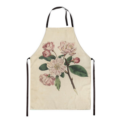 Chinese Flowering Apple Malus - Botanical Aprons