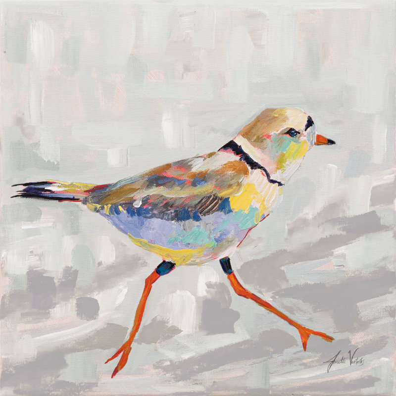 Coastal Plover I Grey by Jeanette Vertentes - Wrapped Canvas Painting, 51cm H x 51cm W