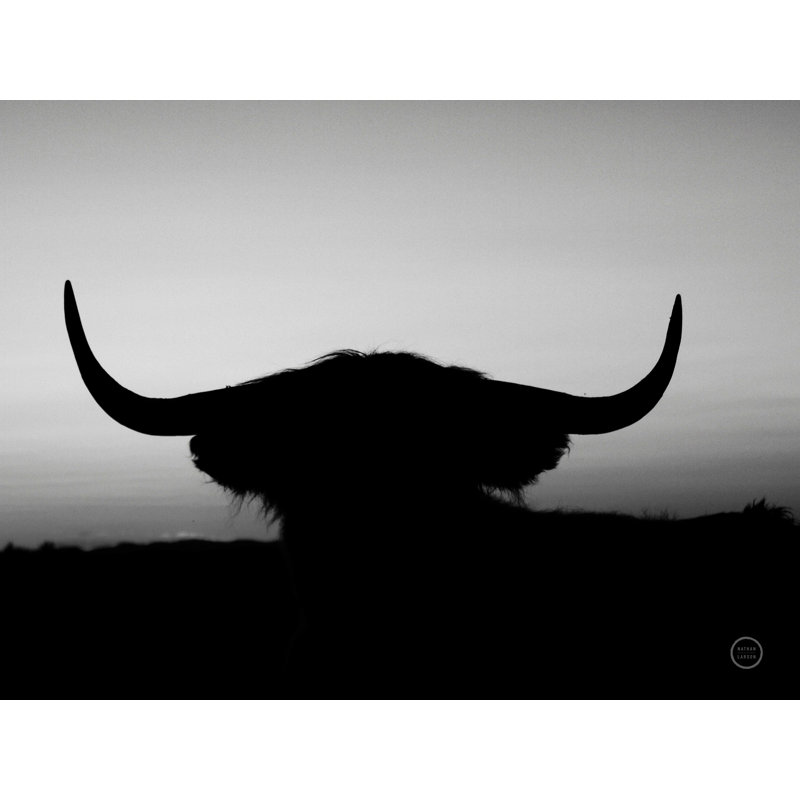 Bull Set BW, H 30 po x l 40 po