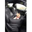 Tavion Codura Pet Bed-226249212