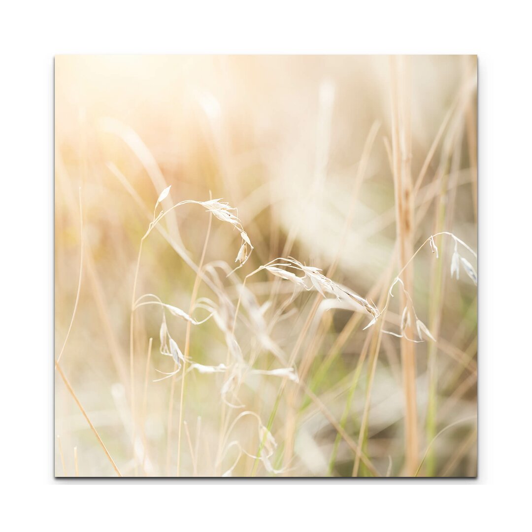 Leinwandbild Gras im Feld