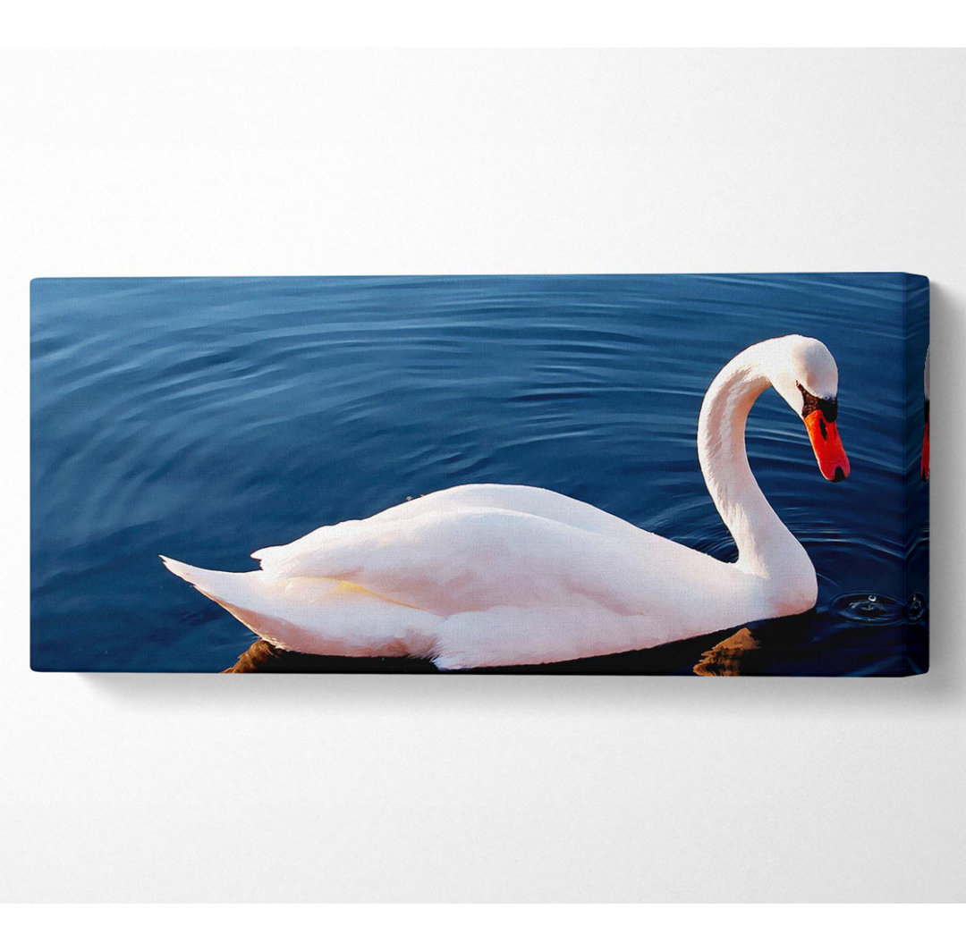 Schwan im Fluss Panoramaleinwand