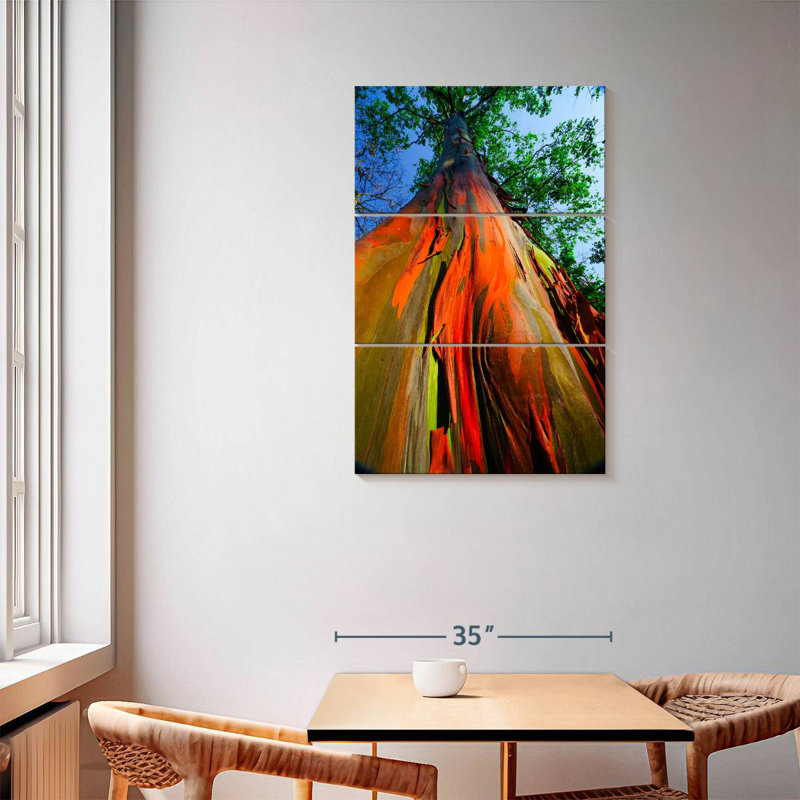 Harnek Rainforest Rainbow Eucalyptus