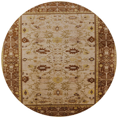 Turaco Oriental Indoor Rug