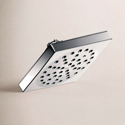 90 Degree Shower Head with Immersion