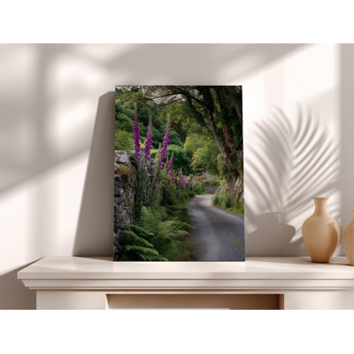 Art irlandais sur toile Lane - impression de fleur de renard, photographie murale en pierre rustique, sentier de jardin anglais, décoration murale de ferme Cottagecore