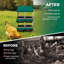 Boîte de nidification pour poulets, conception à roulettes à 4 compartiments pour collection d'œufs à haut volume et fixation murale facile avec pieds en métal-462585998