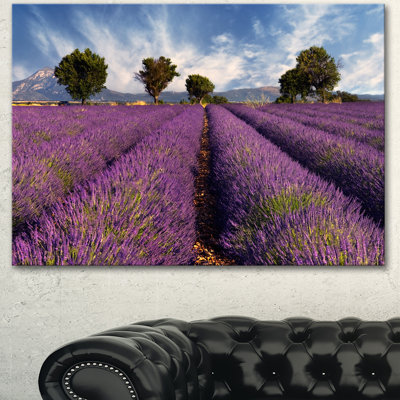 « lavande field on windy-après-midi », reproduction de photo sur toile tendue