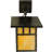 Brass Wall Light