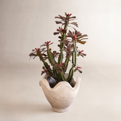 PAPER MACHE BOWL WITH WAVY RIM