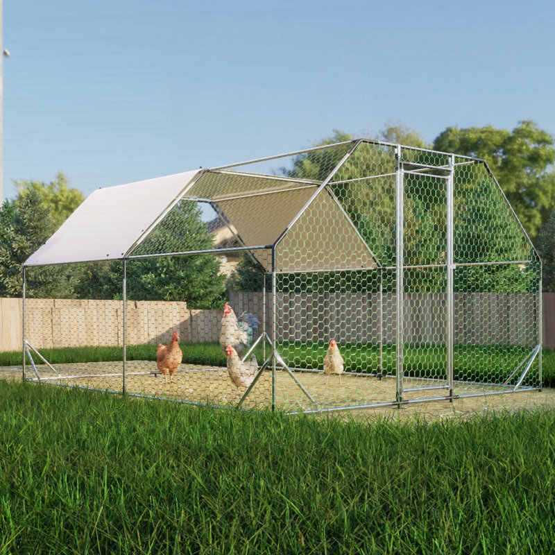 Grand poulailler en métal galvanisé, H 76,32 po x l 154,08 po x P 119,28 po
