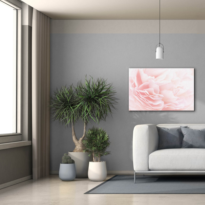 " Rose 2 " by PhotoINC Studio, 26" H x 40" W x 1.5" D
