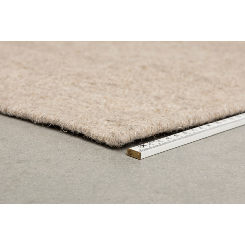 Briton Geometric Area Rug in Beige