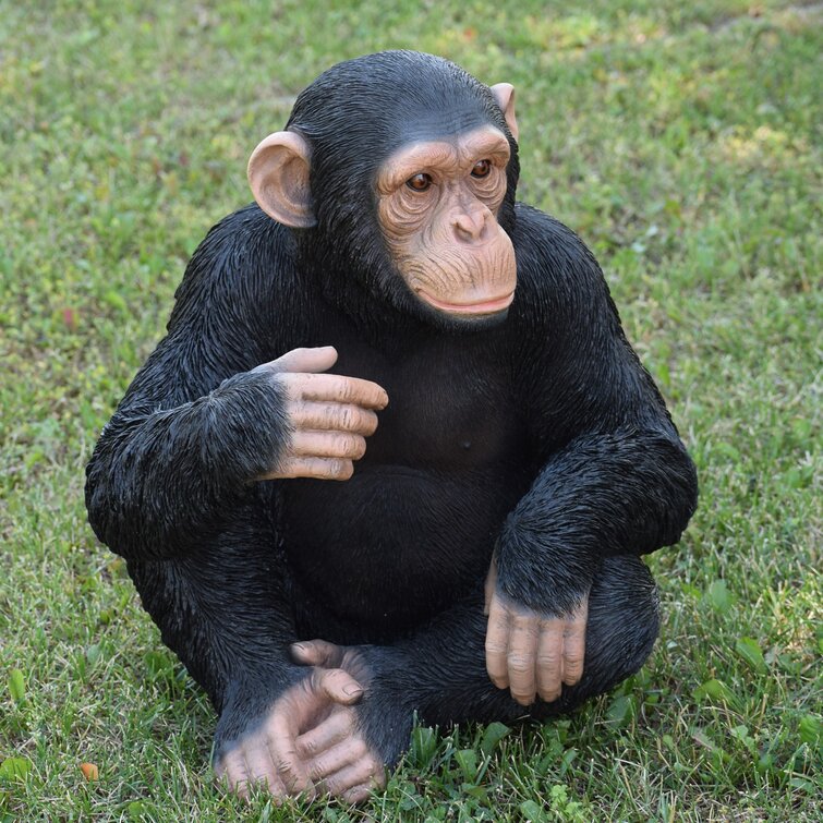 https://assets.wfcdn.com/im/18080036/resize-h755-w755%5Ecompr-r85/1565/156584071/Monkey+Sitting+Statue.jpg