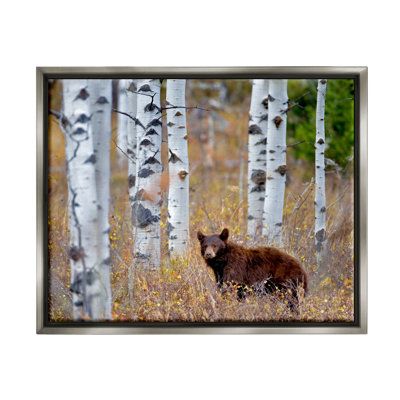 Au-900-Framed " Bear Cub Birch Tree Thicket " by Dennis Frates