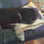 Photos des clients 2 de 2