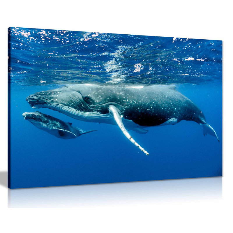 Wrapped Canvas Print, 20cm H x 31cm W