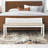 Donner Cane Back Cushioned Bench-1569490981