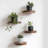 4 Pieces Solid Wood Round Decorative Wall & Display Shelf For Plants