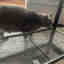 Photos des clients 4 de 4