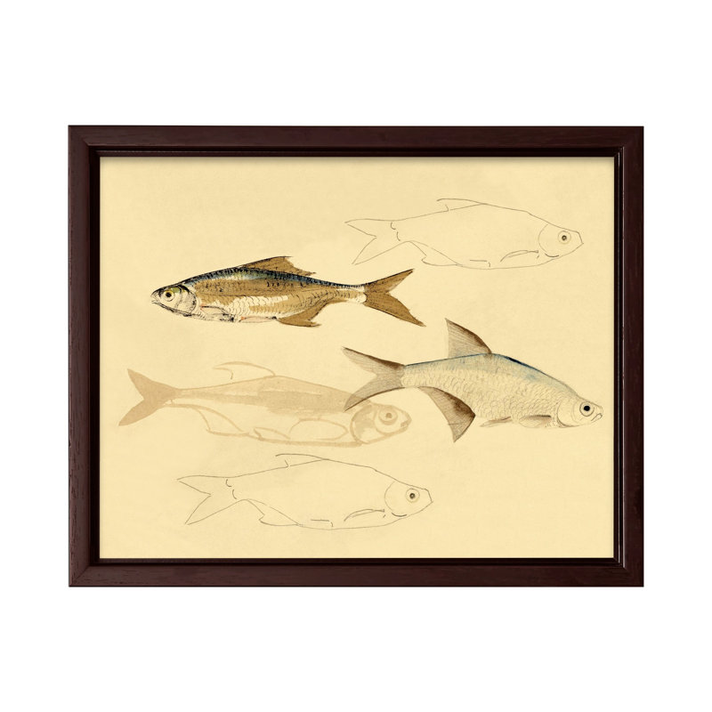 Croquis de poisson, Canevas, H 08 po x l 10 po, Encadrement brun