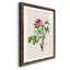 «Pretty Botanicals V», cadre photo-2143446276-2143446279