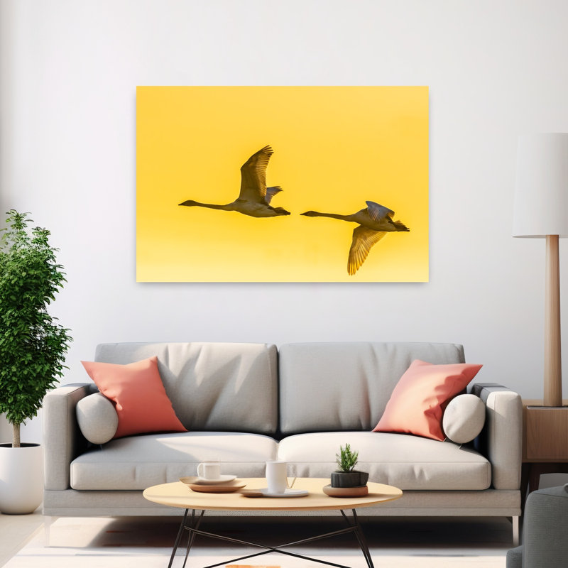 Two trumpeter swans in flight at sunrise Riverlands Migratory Bird Sanctuary West Alton Missouri USA 1 Piece Wrapped Canvas Wall Art