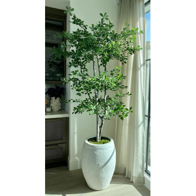 10 Ft Artificial Black Olive Tree with Real Wood Trunk – Lifelike Faux Indoor Floor Plant for Home or Office Decor