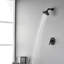 Douche Faucent avec valve brute