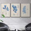 Algues bleu marine VI-91887800-91887802