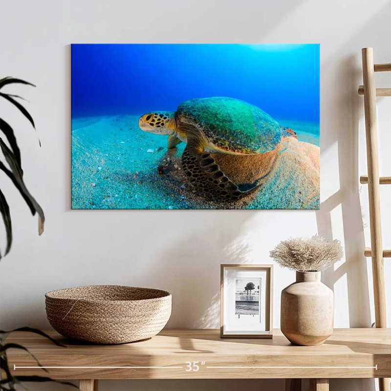 Brampt Resting Sea Turtle, 16" H x 24" W