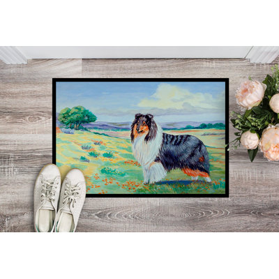 IndoorOutdoor NonSlip Indoor Door Mat