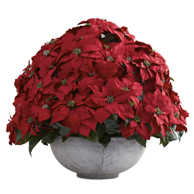 Giant Poinsettia Floral Arrangement in Planter