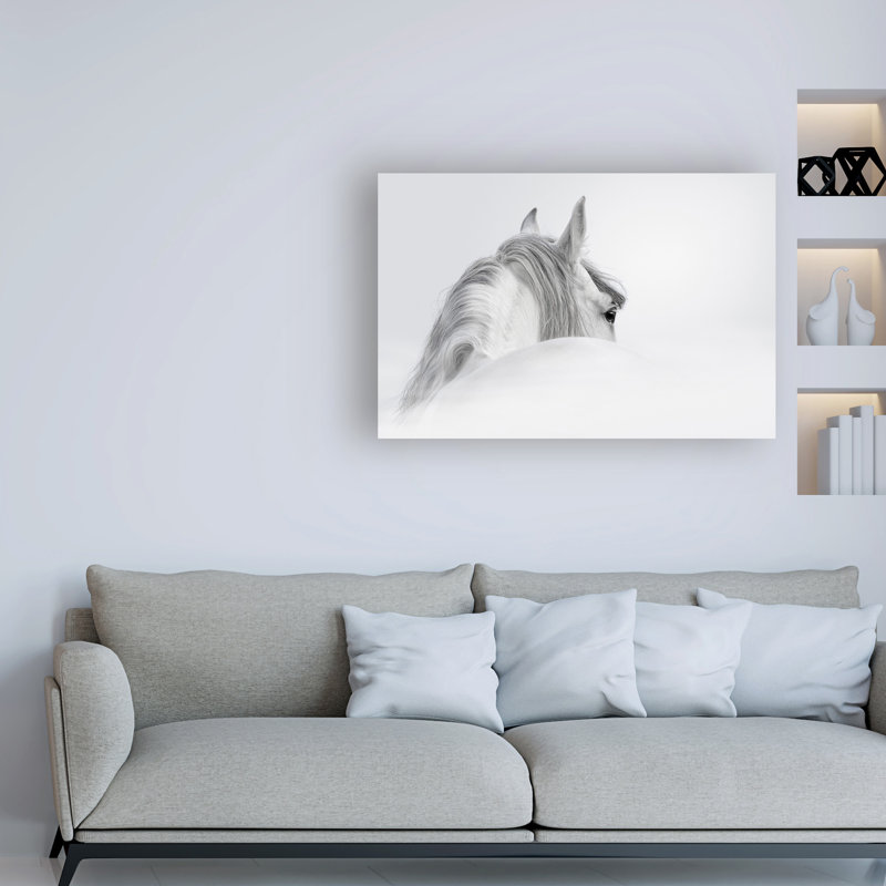 Reproduction d’art sur toile tendue « White Horse on White », H 12 po x l 19 po x P 2 po