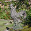 Nailsea COCKEREL 42cm Driftwood Effect